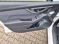 Subaru XV 2.0i Comfort Lineartronic 4WD. 1.HD Weiß - thumbnail 9
