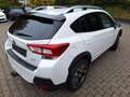 Subaru XV 2.0i Comfort Lineartronic 4WD. 1.HD Weiß - thumbnail 2