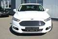 Ford Mondeo 1.5 TDCi Titanium Navi Winterpaket Spurhalteass Blanc - thumbnail 5