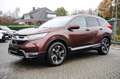 Honda CR-V 1.5 T 4WD Lifestyle AHK Allwetterreifen! Bruin - thumbnail 3
