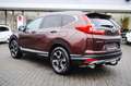 Honda CR-V 1.5 T 4WD Lifestyle AHK Allwetterreifen! Bruin - thumbnail 4