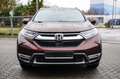 Honda CR-V 1.5 T 4WD Lifestyle AHK Allwetterreifen! Bruin - thumbnail 2