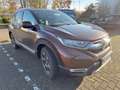 Honda CR-V 1.5 T 4WD Lifestyle AHK Allwetterreifen! Brun - thumbnail 1