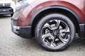 Honda CR-V 1.5 T 4WD Lifestyle AHK Allwetterreifen! Bruin - thumbnail 7