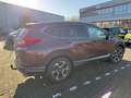 Honda CR-V 1.5 T 4WD Lifestyle AHK Allwetterreifen! Braun - thumbnail 4