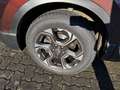 Honda CR-V 1.5 T 4WD Lifestyle AHK Allwetterreifen! Braun - thumbnail 8