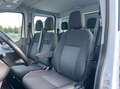 Ford Transit Pritsche DoKa 2,0 EcoBlue L2H1 310 Trend 7-Sitz... Blau - thumbnail 19