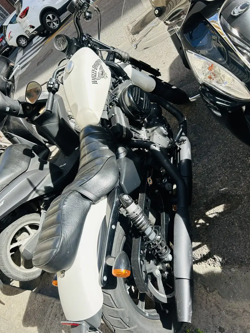 Harley-Davidson Iron 883 doppio sedile e borsonw laterale - 2