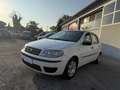 Fiat Punto 5p 1.3 mjt 16v Active AUTOCARRO  motore nuovo Weiß - thumbnail 3