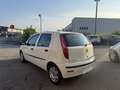 Fiat Punto 5p 1.3 mjt 16v Active AUTOCARRO  motore nuovo Weiß - thumbnail 4