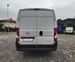 Opel Movano 33 2.2 HDI 140CV L3H2 PL-TM FRIGO FNAX ATP 11/2029 Blanco - thumbnail 16