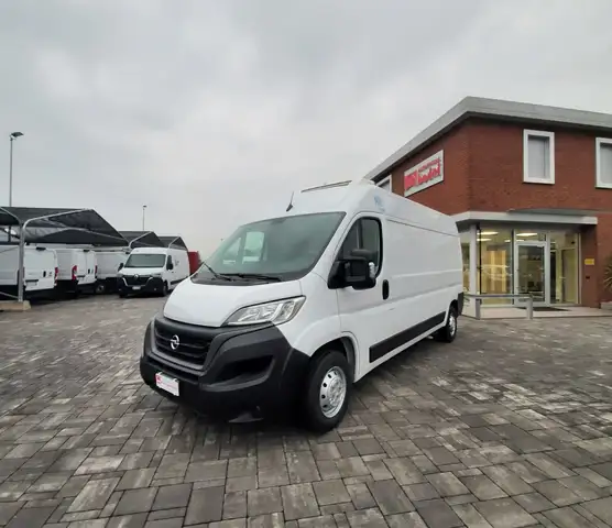 Opel Movano 33 2.2 HDI 140CV L3H2 PL-TM FRIGO FNAX ATP 11/2029