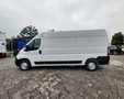 Opel Movano 33 2.2 HDI 140CV L3H2 PL-TM FRIGO FNAX ATP 11/2029 Bianco - thumbnail 8