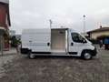 Opel Movano 33 2.2 HDI 140CV L3H2 PL-TM FRIGO FNAX ATP 11/2029 Bianco - thumbnail 10
