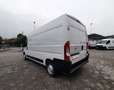 Opel Movano 33 2.2 HDI 140CV L3H2 PL-TM FRIGO FNAX ATP 11/2029 Blanco - thumbnail 17