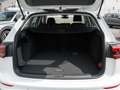 Volkswagen Golf VIII Variant 1.5TSi Life R-Kamera SideAssist AC... Wit - thumbnail 9