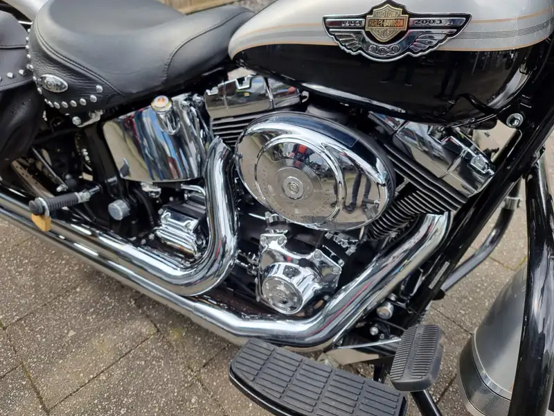 Harley-Davidson Heritage Softail - foto 7