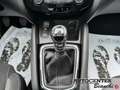 Nissan Qashqai 1.7 dci N-Connecta 4wd 150cv Weiß - thumbnail 19