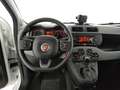 Fiat Panda 1.0 firefly hybrid 70cv CITY LIFE Blanc - thumbnail 13