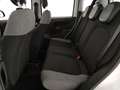 Fiat Panda 1.0 firefly hybrid 70cv CITY LIFE Blanc - thumbnail 11
