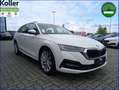 Skoda Octavia Combi 1.4 TSI iV DSG Sitz+Lenkradheizung Weiß - thumbnail 4