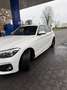 BMW 116 116d Sport 5p auto - thumbnail 2
