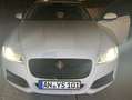 Jaguar XF XF 20d AWD Aut. Prestige - thumbnail 4
