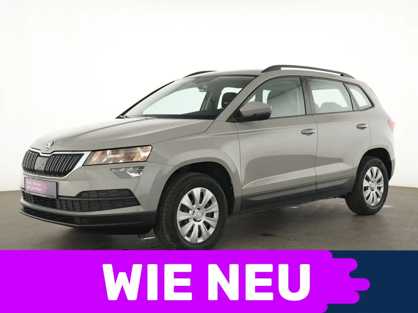 Skoda Karoq Active Sitzheizung|DAB|PDC|Klima Grau - 1