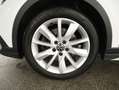Volkswagen Golf Alltrack TDI 4MOT. DSG ASSIST+MATRIX+RADAR Weiß - thumbnail 5
