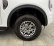 Ford Ranger XLT 4x4 °Winterpaket°GARANTIE 03.2030° Weiß - thumbnail 24