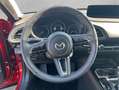 Mazda CX-30 e-SKYACTIVE X 186 Aut. TAKUMI Rouge - thumbnail 10