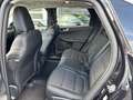 Ford Kuga 2.5 PHEV  Titanium X #Head-up #Allwetter #Keyfree Noir - thumbnail 12
