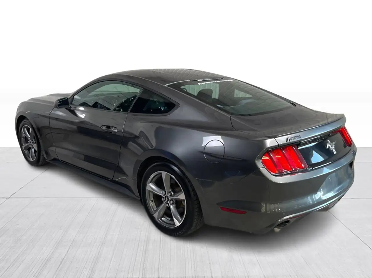 Ford Mustang fotografie Ford Mustang
