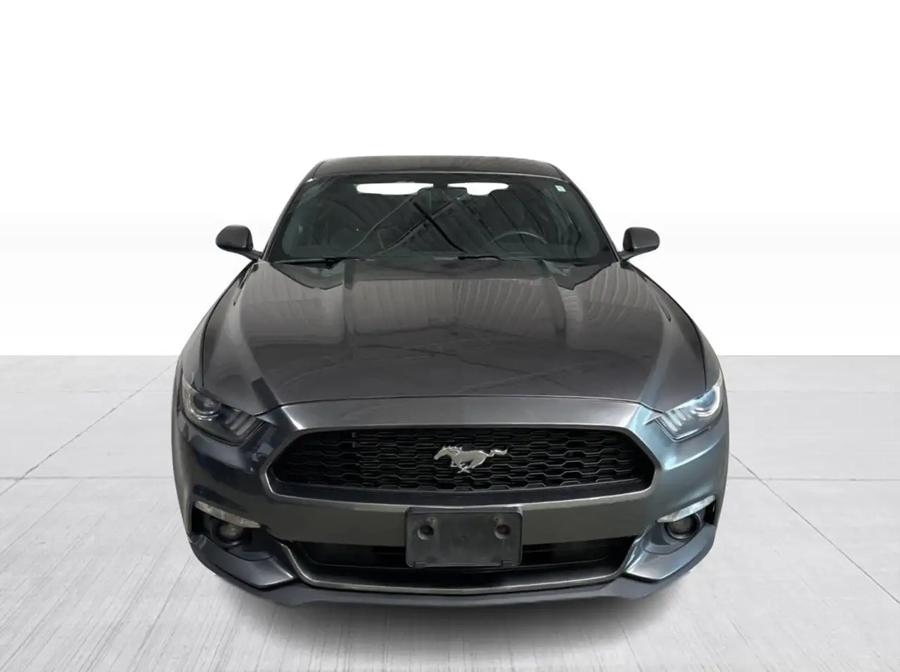 Ford Mustang fotografie Ford Mustang
