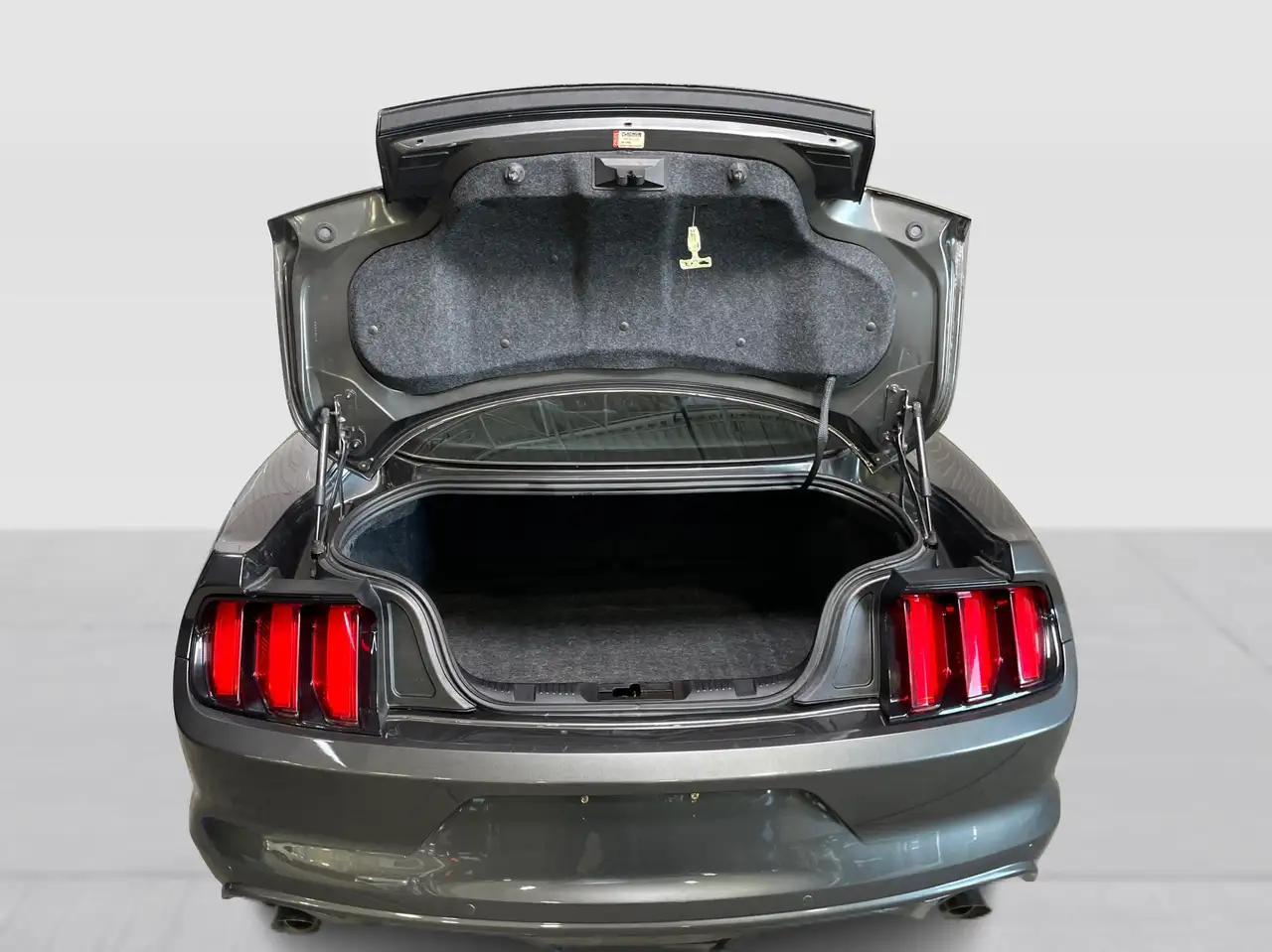 Ford Mustang fotografie Ford Mustang