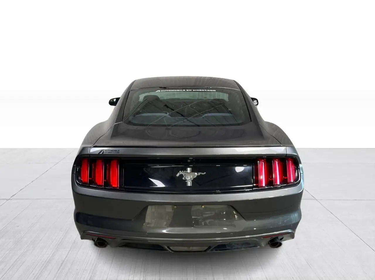 Ford Mustang fotografie Ford Mustang