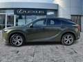 Lexus RX 350 h E-Four Business Line Navi*3xKlima*el.Heck Groen - thumbnail 4