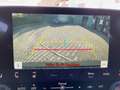 Lexus RX 350 h E-Four Business Line Navi*3xKlima*el.Heck Groen - thumbnail 15