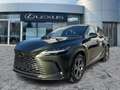 Lexus RX 350 h E-Four Business Line Navi*3xKlima*el.Heck Groen - thumbnail 2