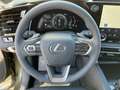 Lexus RX 350 h E-Four Business Line Navi*3xKlima*el.Heck Groen - thumbnail 13