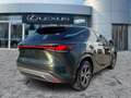 Lexus RX 350 h E-Four Business Line Navi*3xKlima*el.Heck Groen - thumbnail 7