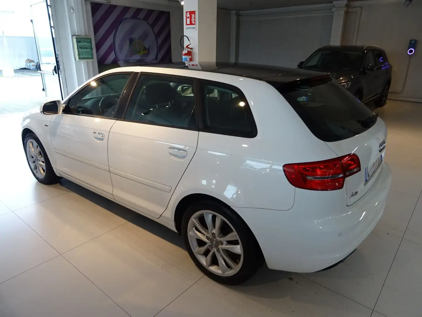 Audi A3 A3 1.6 TDI 105 CV CR Ambition Bianco - 2