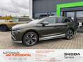 Skoda Enyaq 60 Loft AHK*beh.WSS*Travel Assist* - thumbnail 1