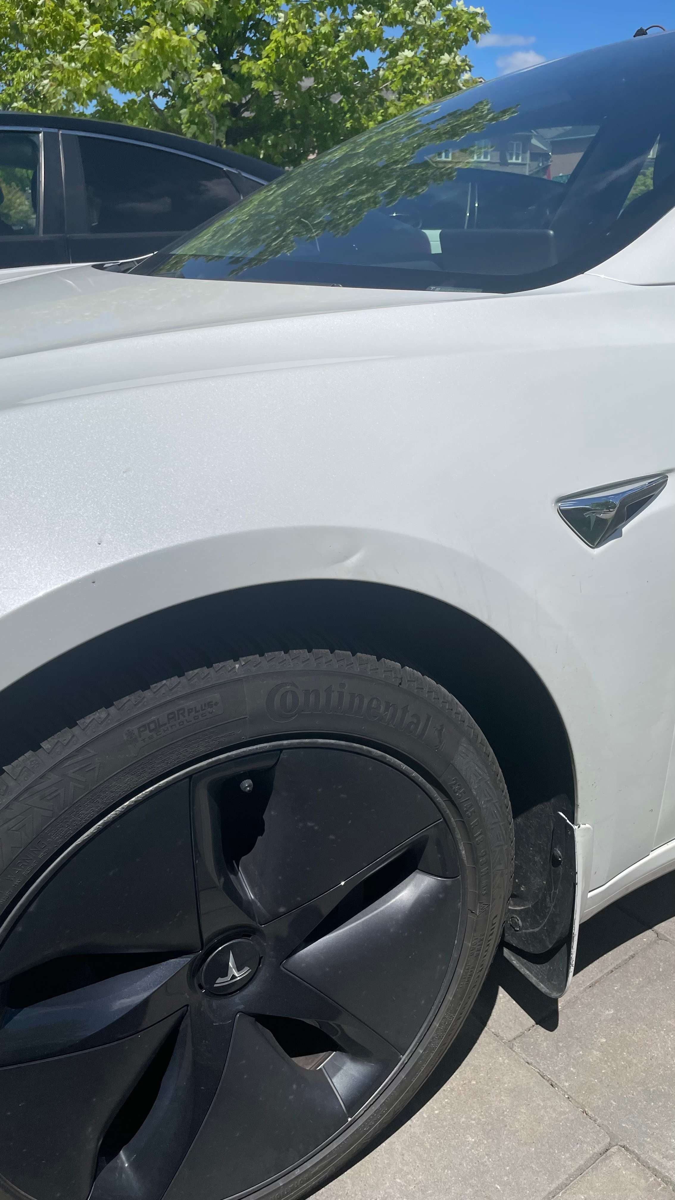 2019 Tesla Model 3 Standard Range thumb 6
