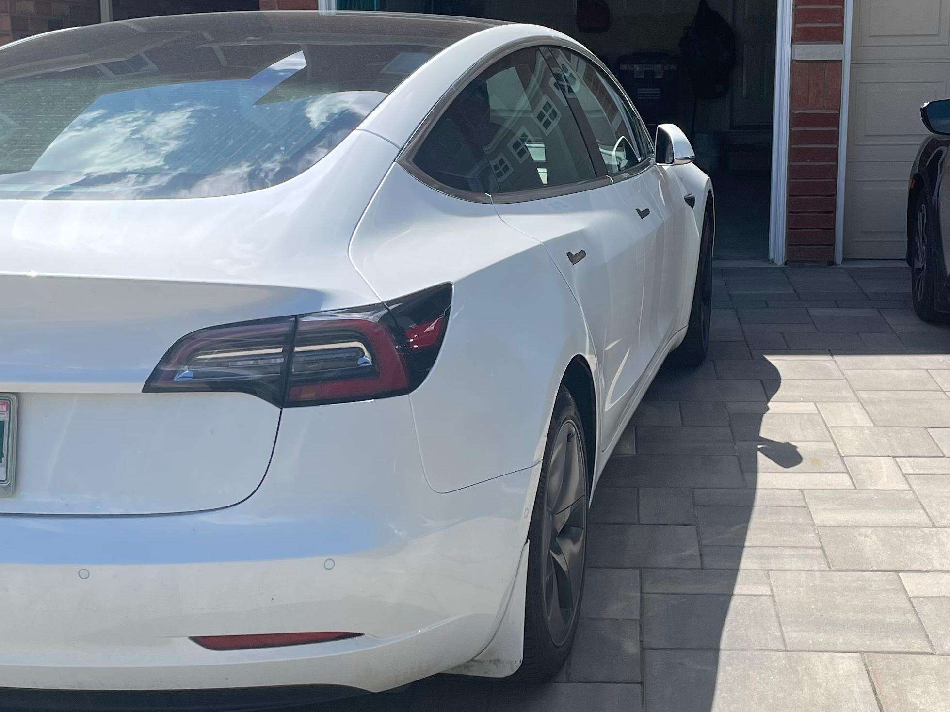2019 Tesla Model 3 Standard Range alt 4