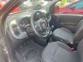 Fiat Panda 1.0 FireFly S&S Hybrid City Cross Grau - thumbnail 9