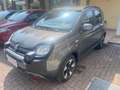 Fiat Panda 1.0 FireFly S&S Hybrid City Cross Grau - thumbnail 3