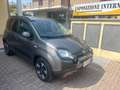 Fiat Panda 1.0 FireFly S&S Hybrid City Cross Grau - thumbnail 2