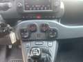 Fiat Panda 1.0 FireFly S&S Hybrid City Cross Grau - thumbnail 15