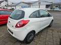 Ford Ka/Ka+ Trend Bianco - thumbnail 4